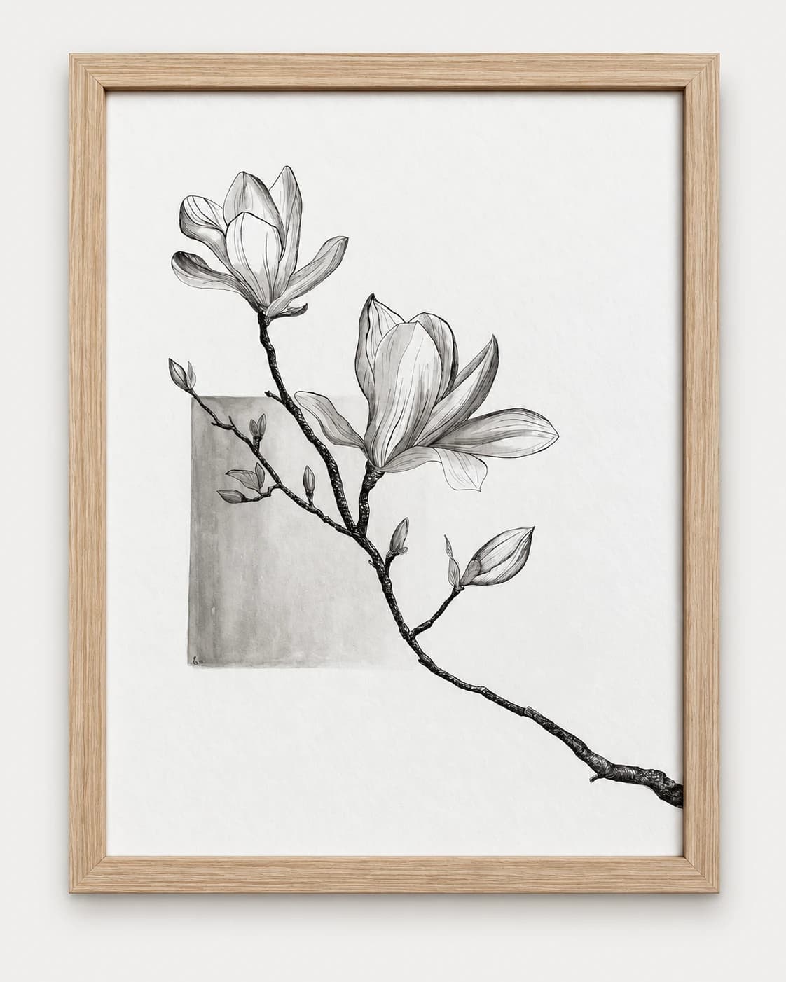 Een getekende magnoliatak met jonge knoppen, in een lichte houten lijst.
