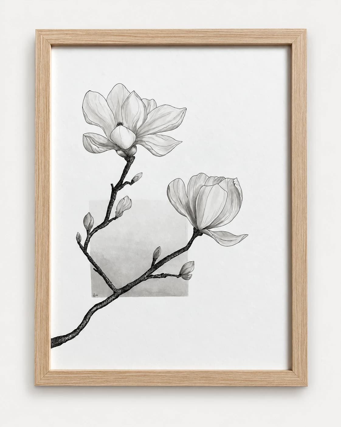 Een getekende magnoliatak met een open bloem en knoppen, in een lichte houten lijst.