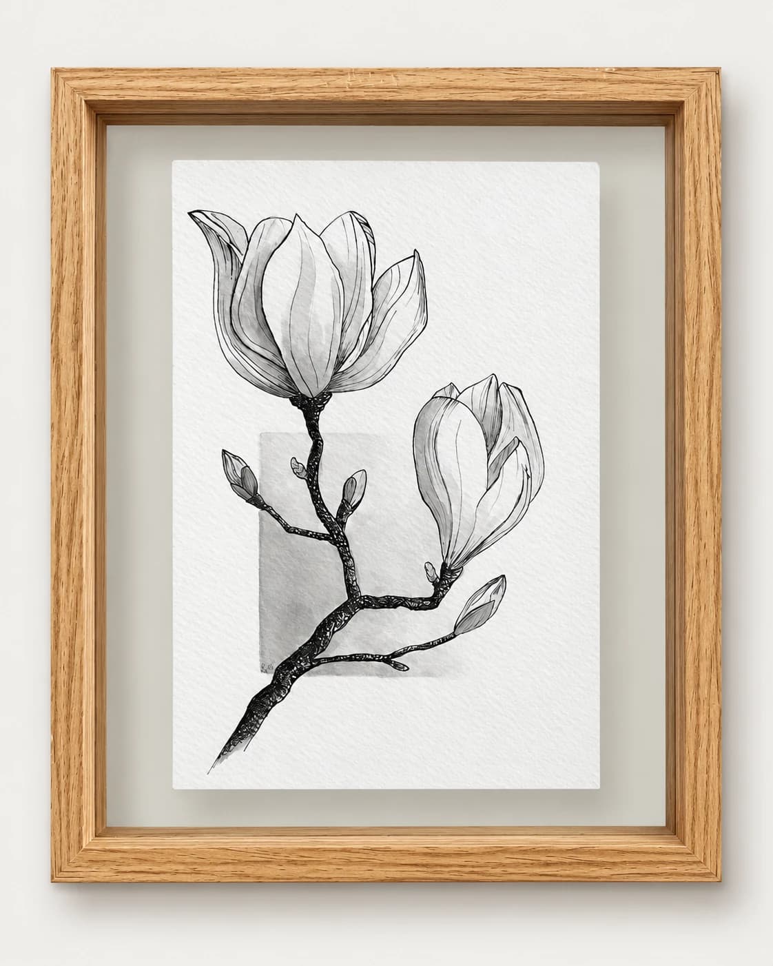 Een getekende magnoliatak met twee grote knoppen, in een gouden lijst met passe-partout.