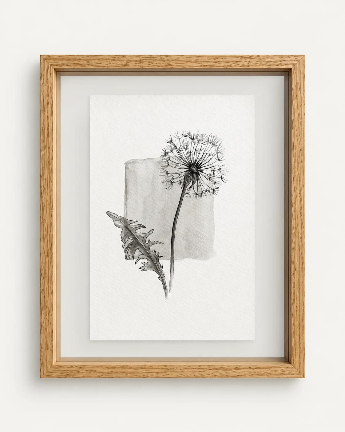 Een getekende paardenbloem met zaadpluis, in een houten lijst met passe-partout.